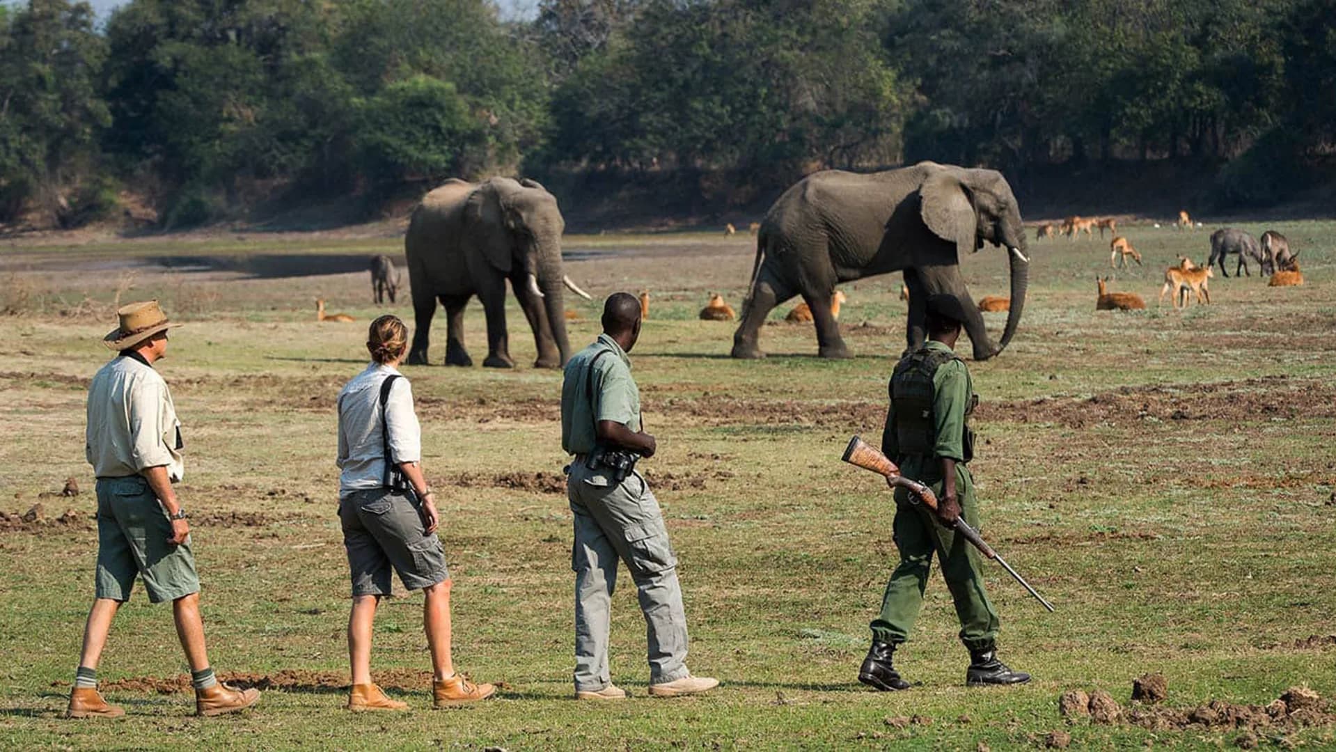 Zambia Walking Safari