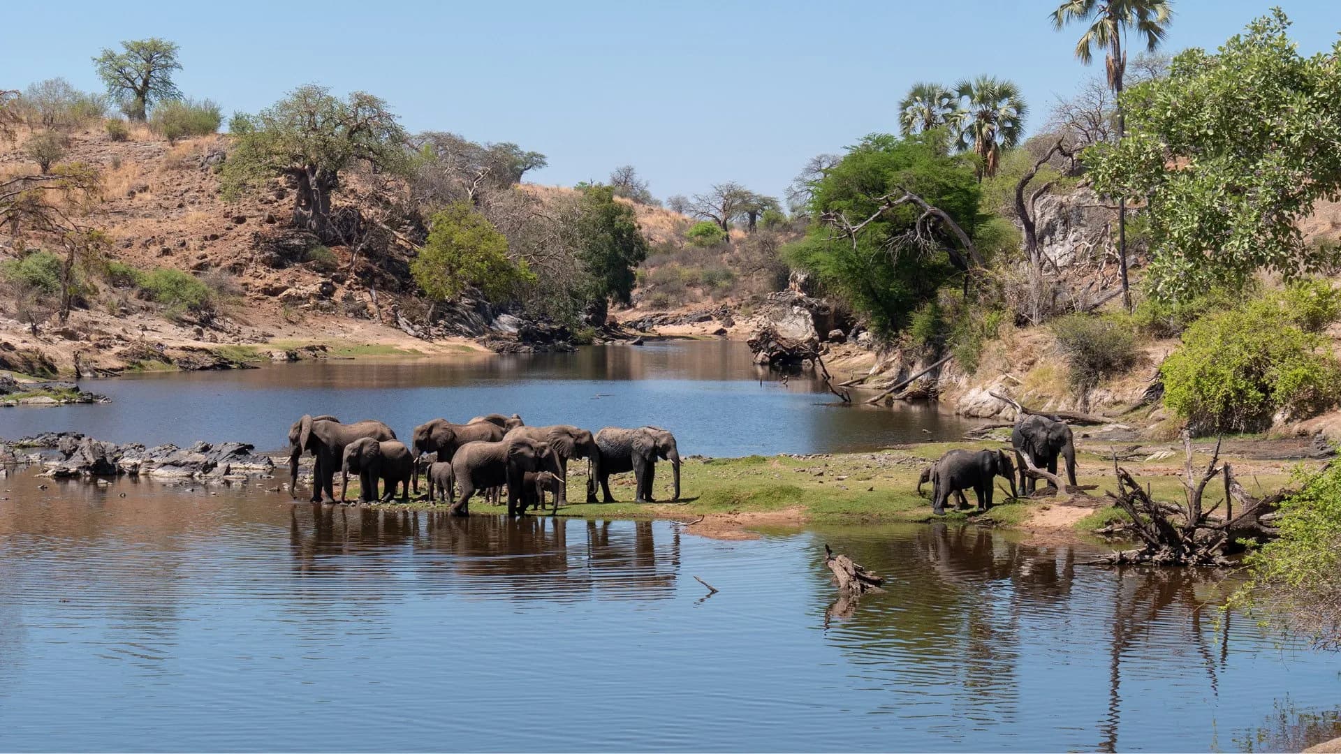 Nyerere & Ruaha Explorer