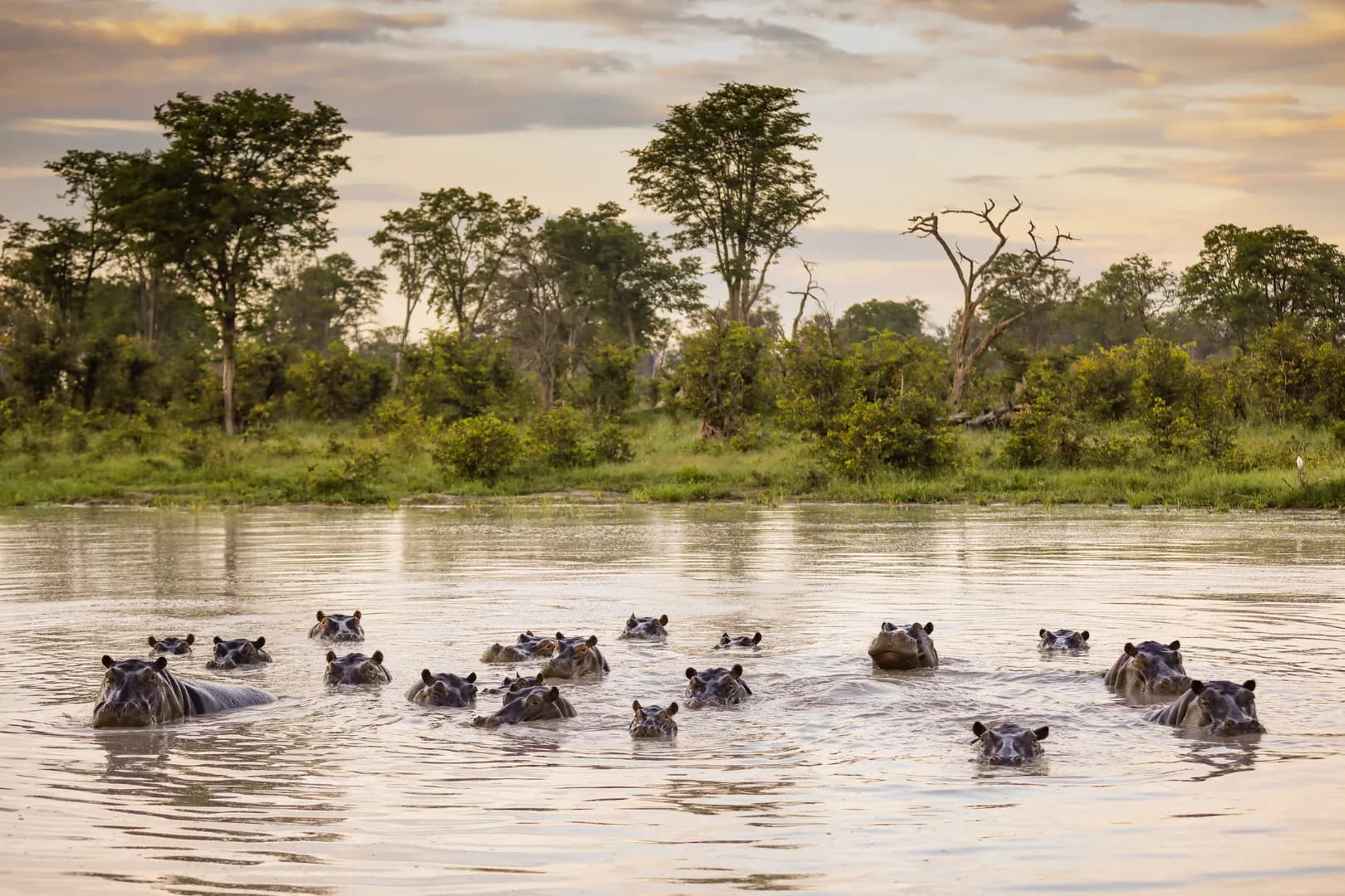 Okavango Delta Fly-In Safari