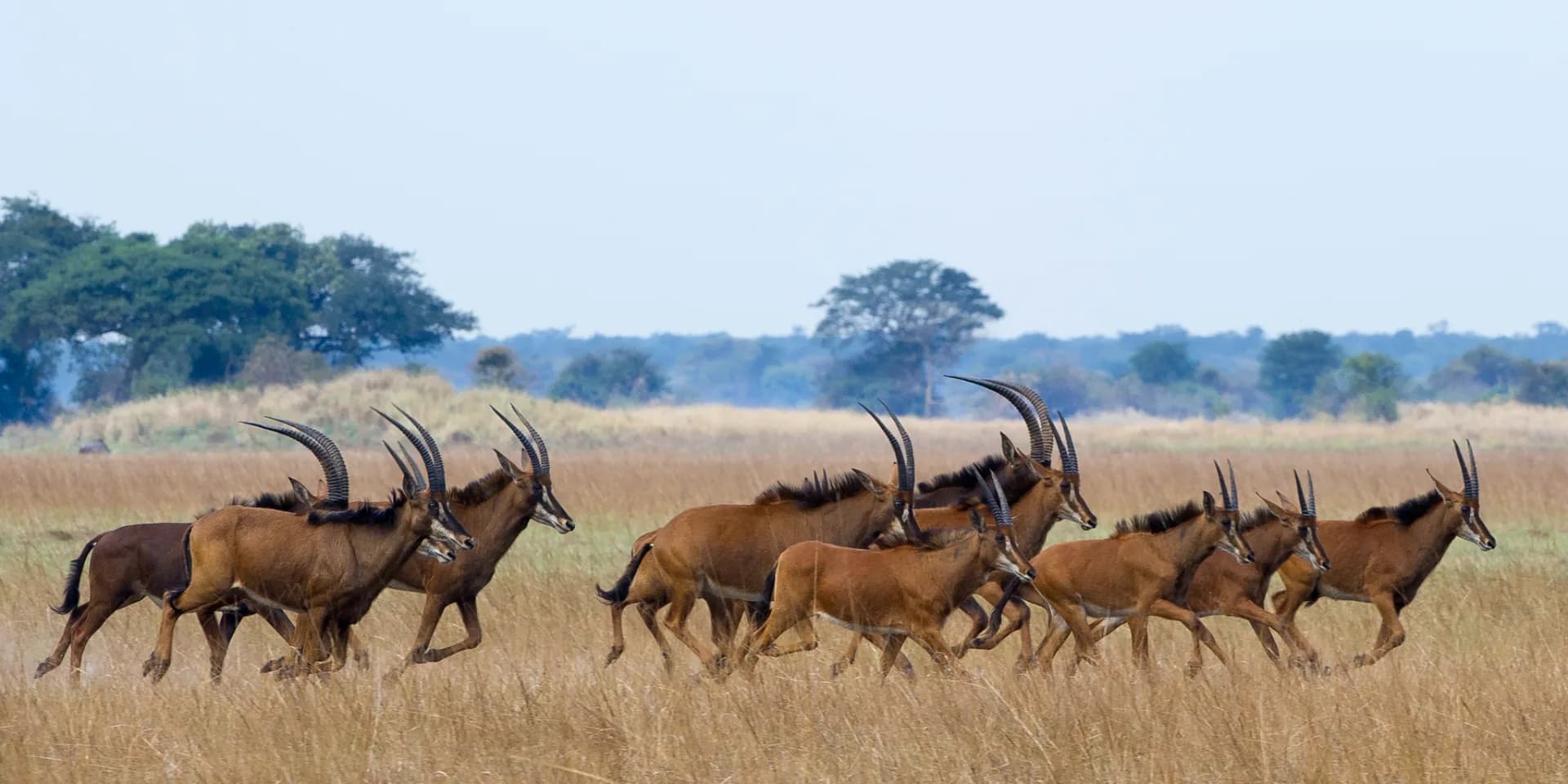 Kafue Wilderness Experience
