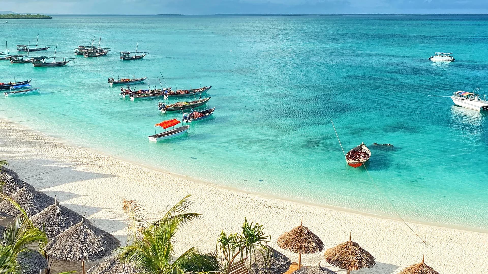 Serengeti & Zanzibar Beach