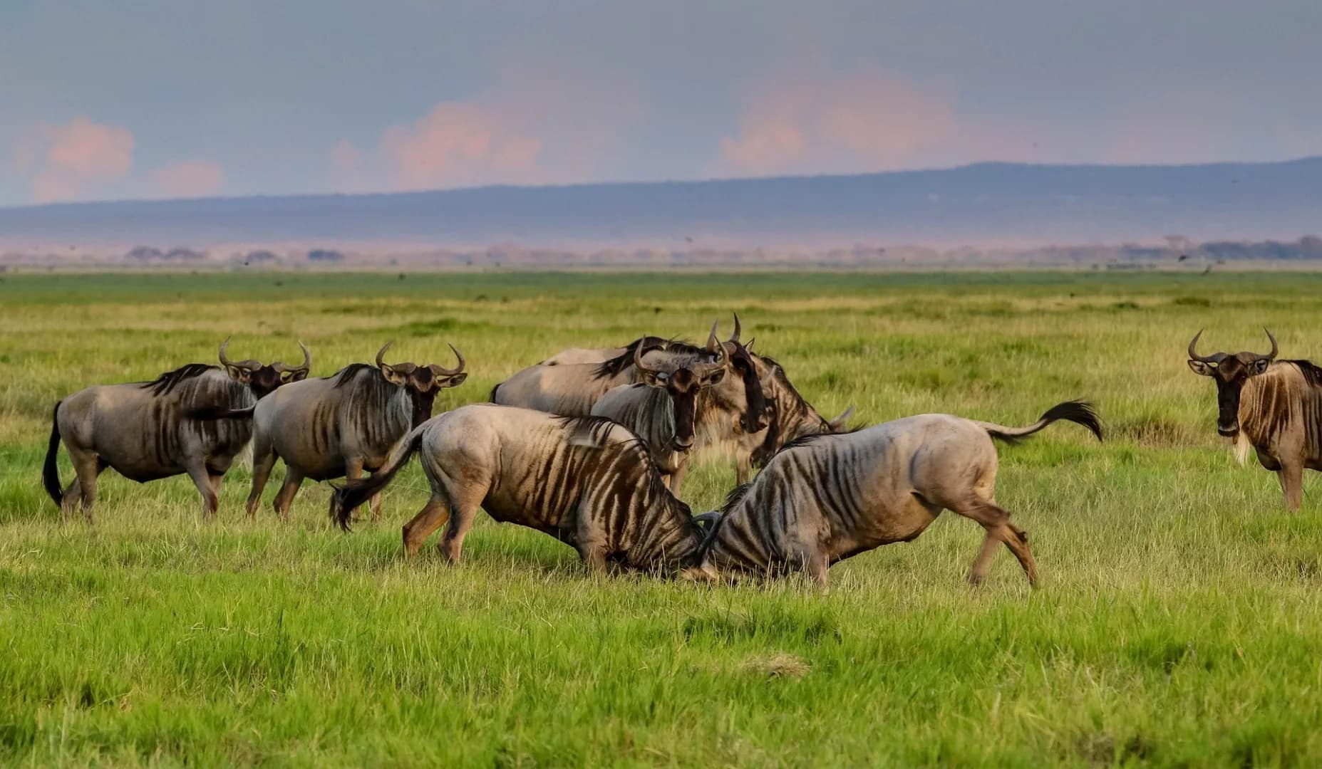 4-Day Camping & Cultural Safari