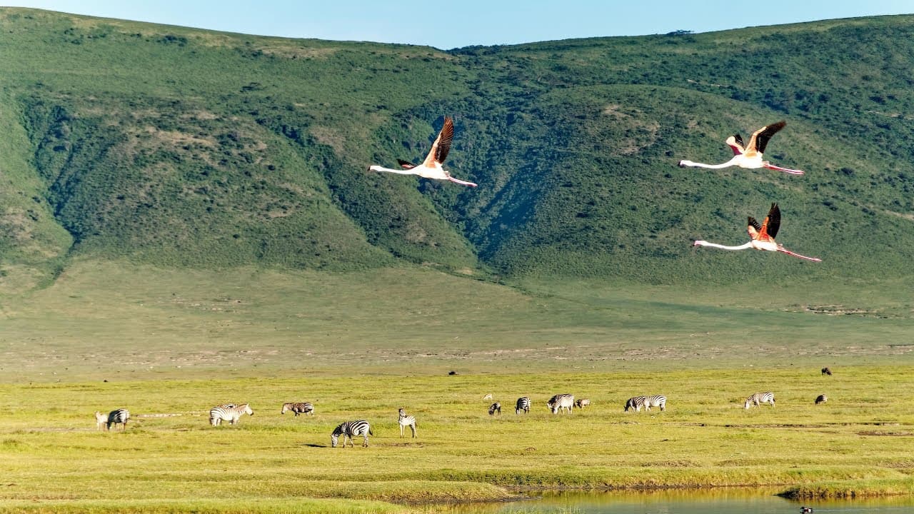 3-Day Lake Manyara & Ngorongoro Safari