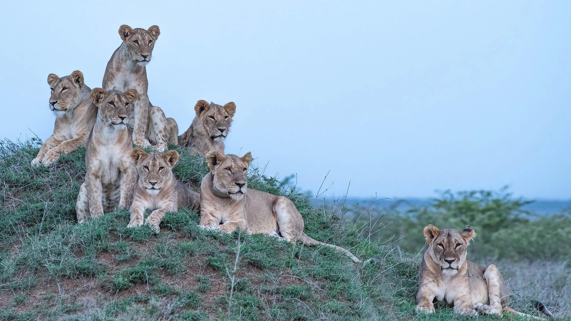Luxury Kenya Safari