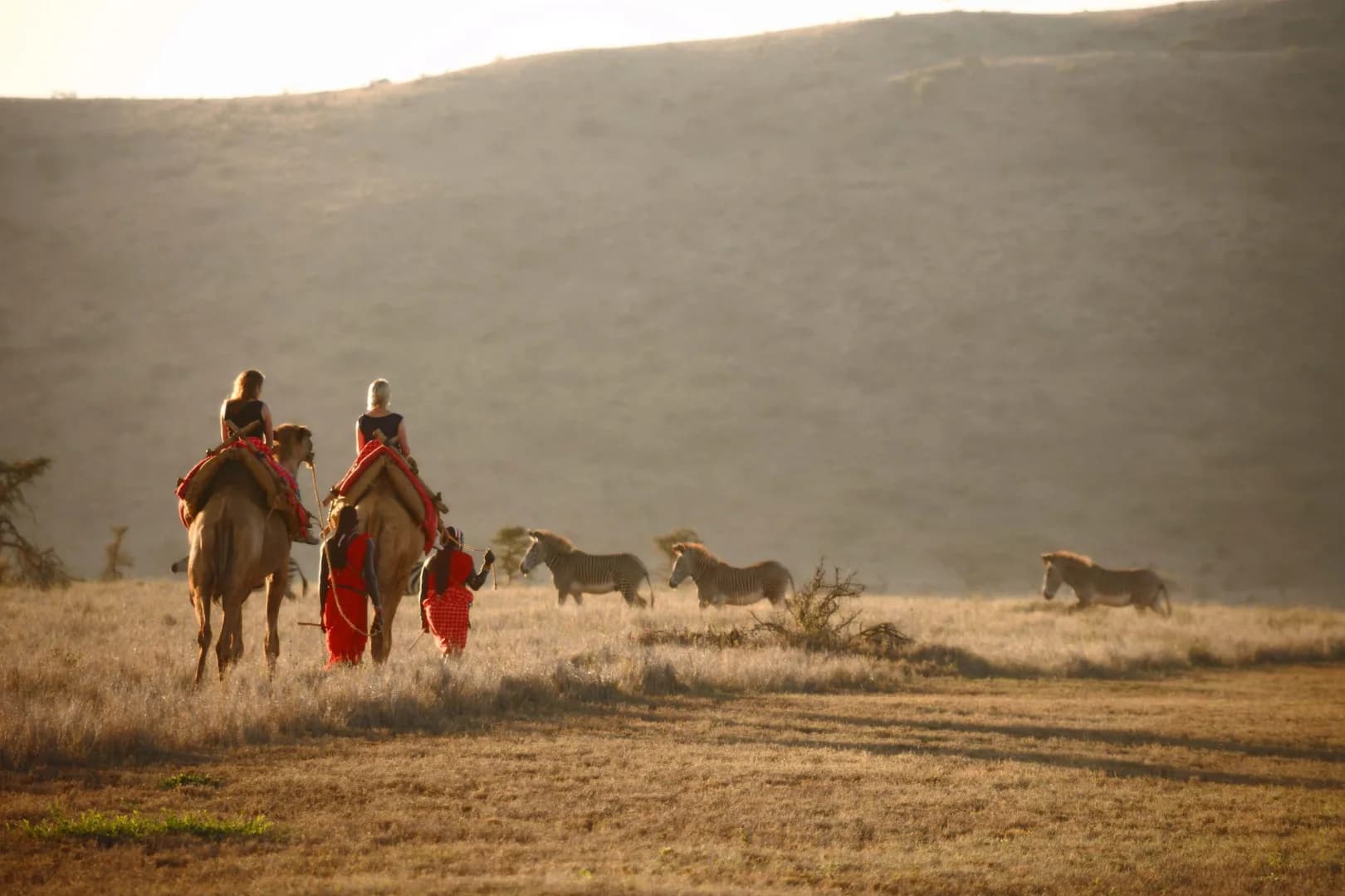 Kenya Custom Private Safari