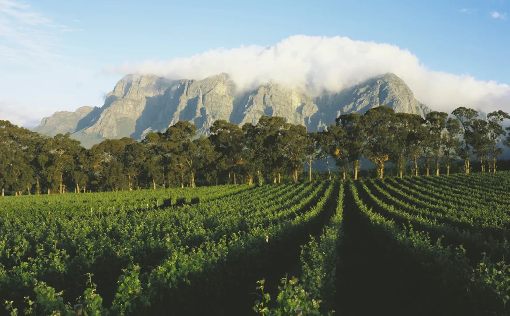 South Africa Highlights