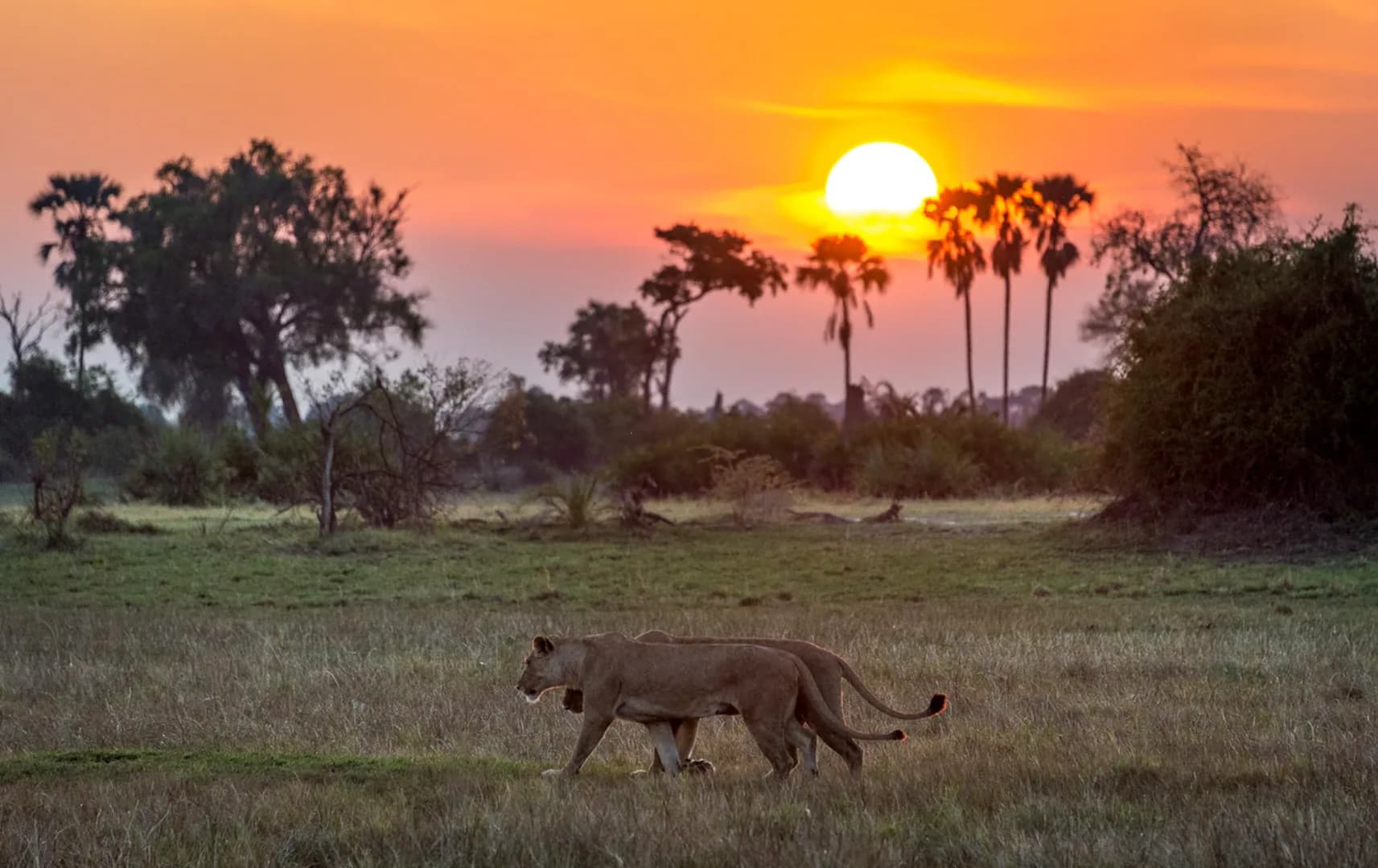 Botswana Grand Circle