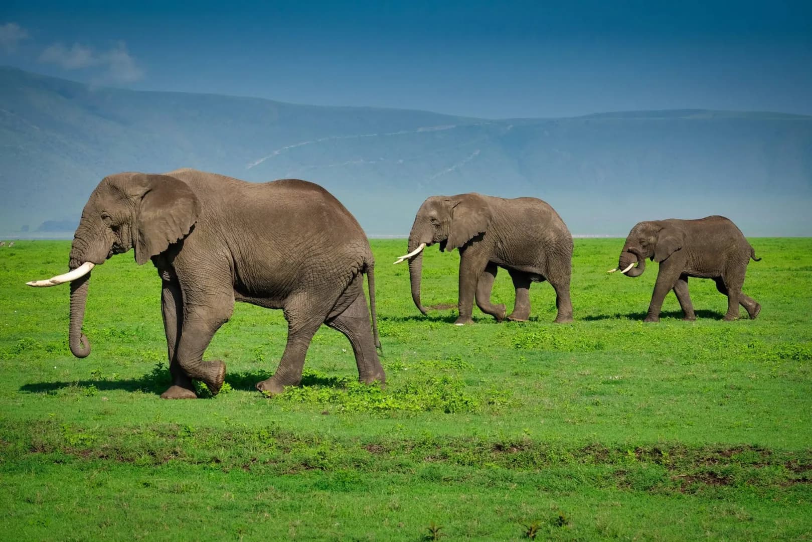 10-Day Ultimate Tanzania Budget Safari & Beach