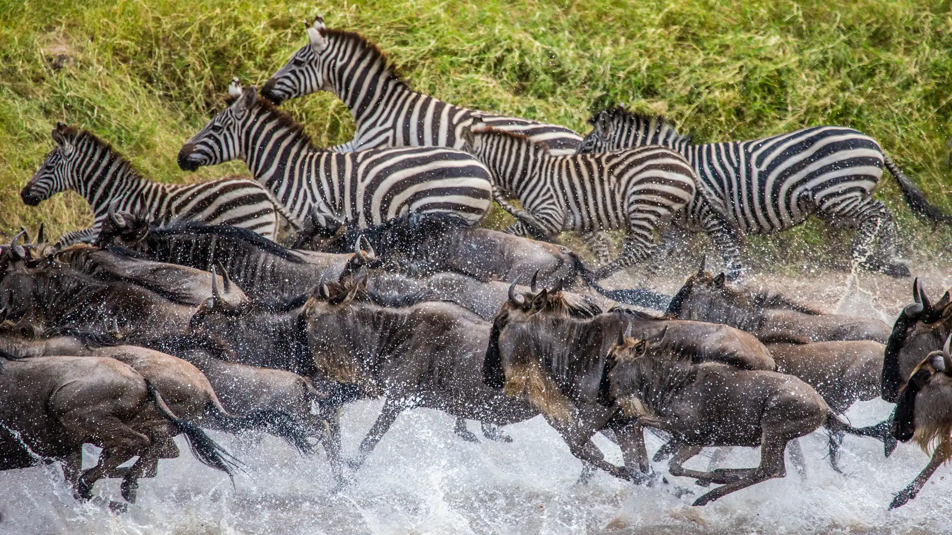 Great Migration Luxury Experience