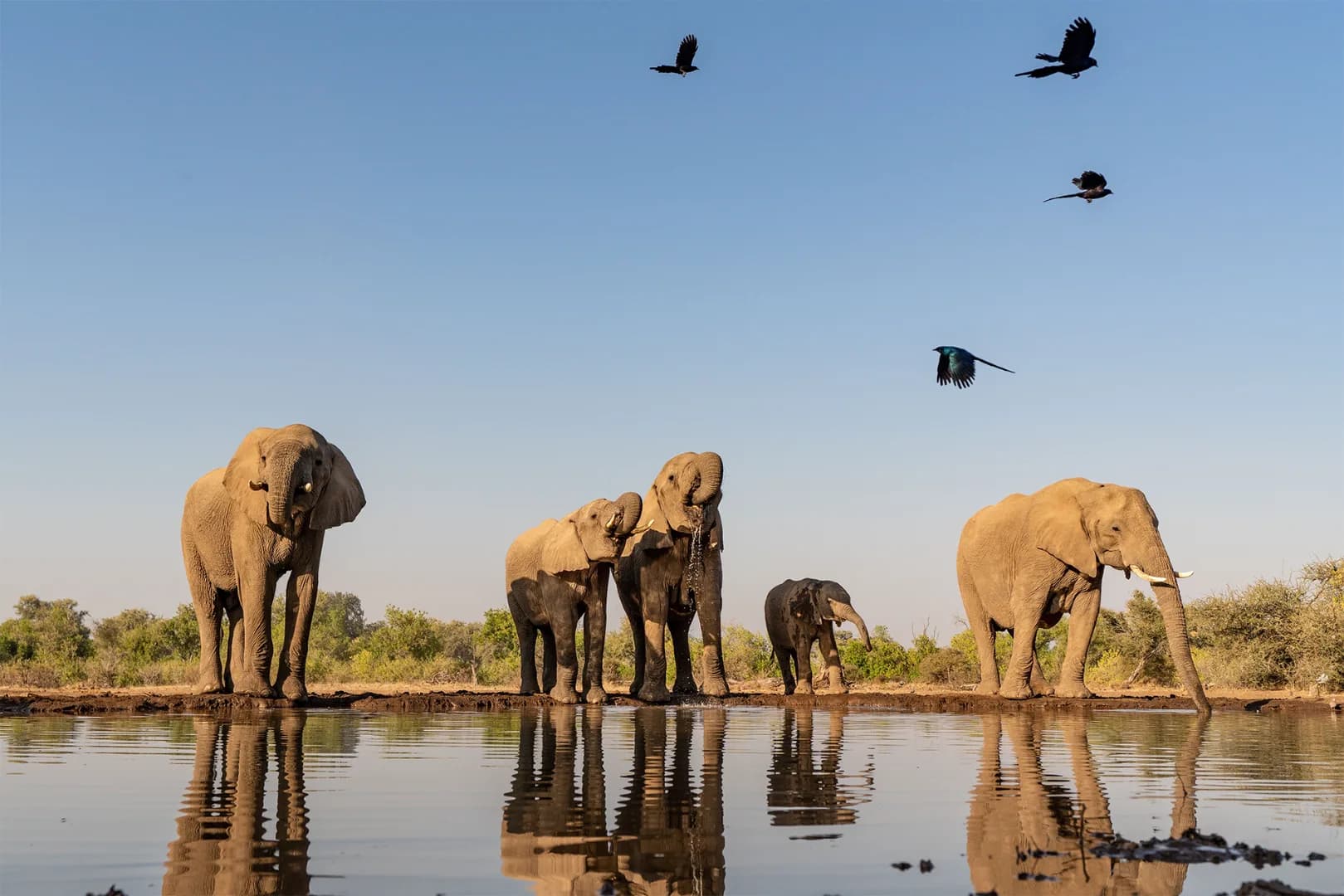 Kruger to Indian Ocean