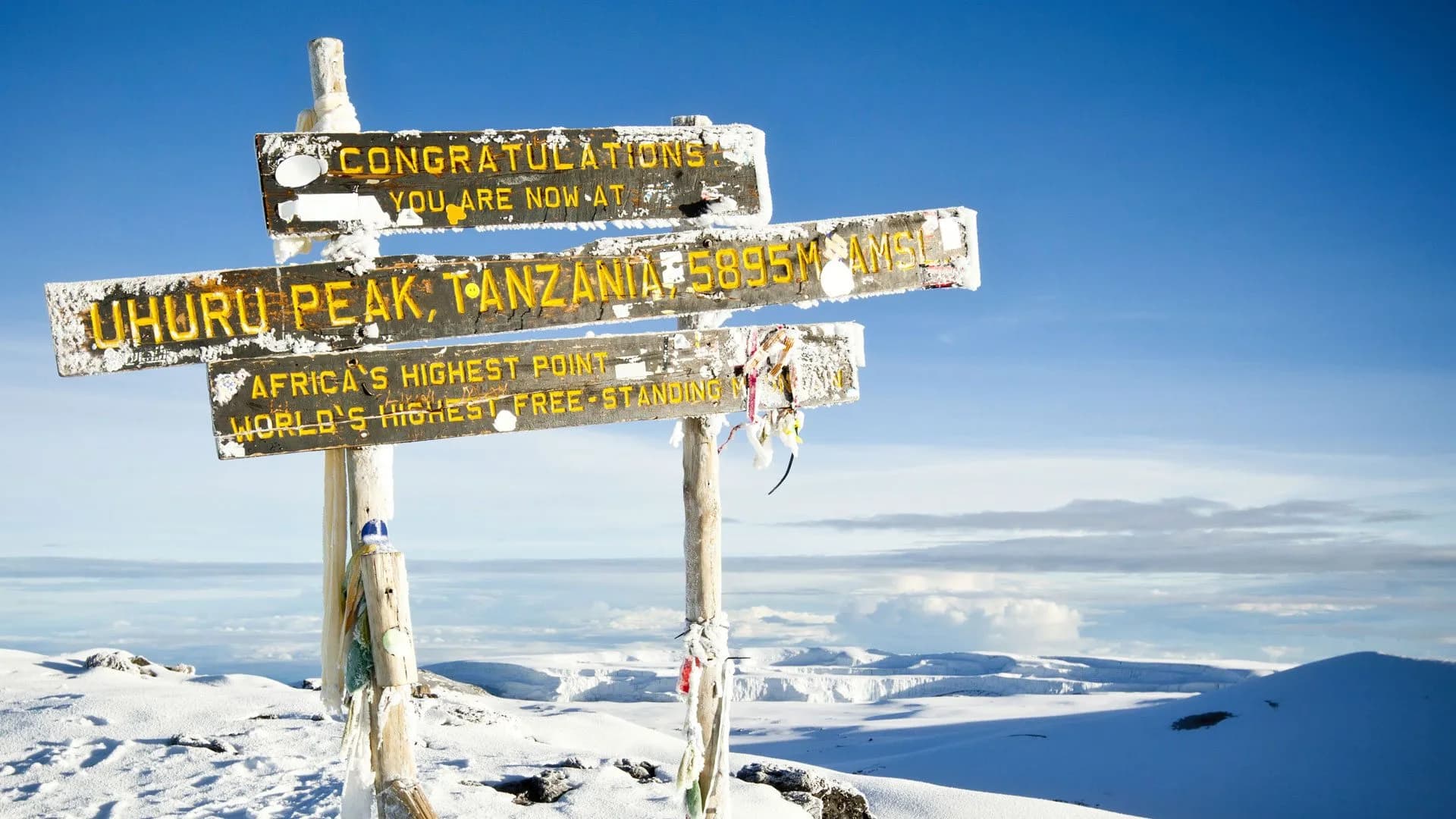 Kilimanjaro via Lemosho Route — 7 Days
